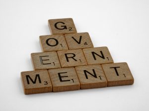 government should